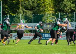 Dragons Ladies gegen Salzburg Ducks