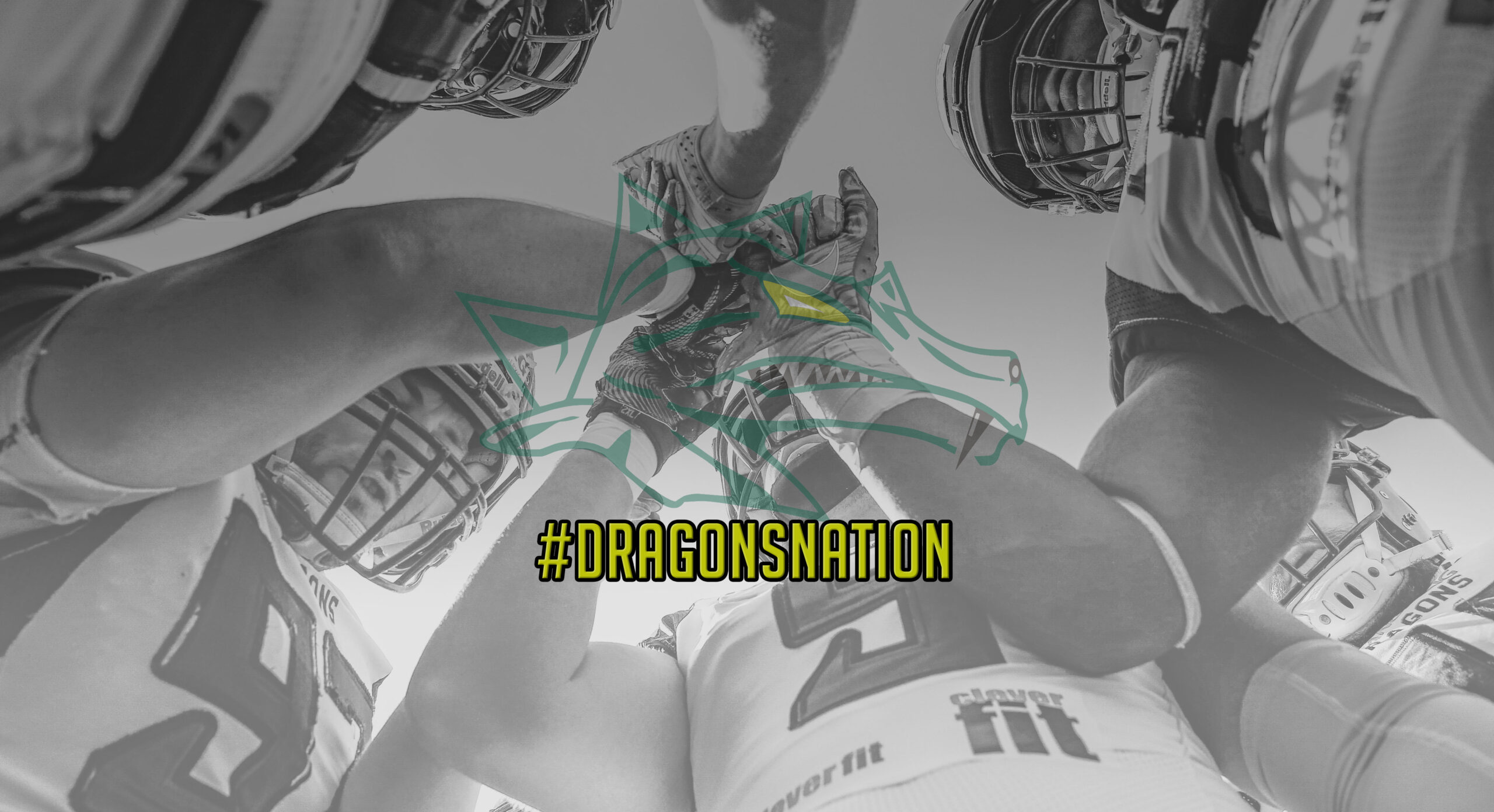 AUT, AFL, Dacia Vikings vs Danube Dragons